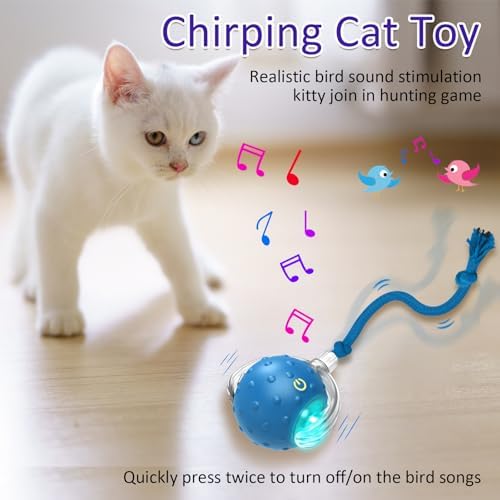 Giociv Interactive Cat Toys Ball for Indoor Cats Fast Rolling on Carpet, Chirping & Motion Activate Cat Toys (Blue) - Image 5