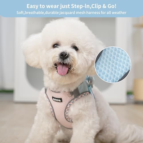 AIITLE XXS Dog Harness & Leash Set with Reflective Design, Blue-Pink XXS - Image 5