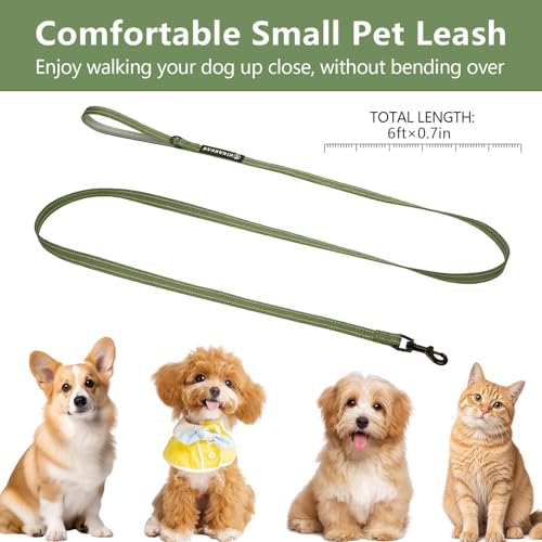 Reflective 6 FT Dog Leash, Premium Traditional Style Puppy Leash with Easy to Use Collar Hook for Small, Medium, and Large Breed Puppies (Green, 3/4 in x 6 ft) - Image 3