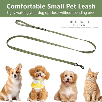 Reflective 6 FT Dog Leash, Premium Traditional Style Puppy Leash with Easy to Use Collar Hook for Small, Medium, and Large Breed Puppies (Green, 3/4 in x 6 ft) - Image 3