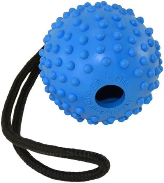 Ray Allen Ball On Rope Toy - Professional Quality Dog Training (Blue w/Loop Handle, 3")
