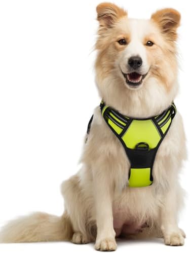 rabbitgoo Dog Harness, No Pull Medium Sized with 2 Leash Clips, Pet Vest by rabbitgoo