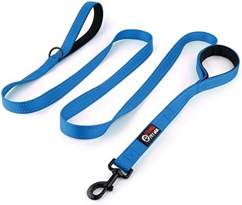 Primal Pet Gear Dog Leash 8ft Long - Blue - Traffic Padded Two Handle - Heavy Duty - Double Handles Lead for Control Safety Training - Leashes for Large Dogs or Medium Dogs - Dual Handles Leads by PrimalPetGear