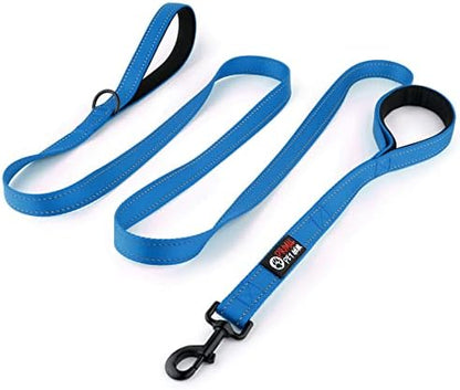 Primal Pet Gear Dog Leash 8ft Long - Blue - Traffic Padded Two Handle - Heavy Duty - Double Handles Lead for Control Safety Training - Leashes for Large Dogs or Medium Dogs - Dual Handles Leads by PrimalPetGear