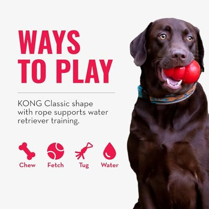KONG Aqua Floating Fetch Toy, Natural Rubber, Orange, for Medium Dogs - Image 4