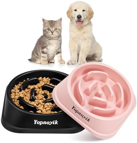 2 Pack Slow Feeder Dog Bowls for Small Dogs by Yopnoyik