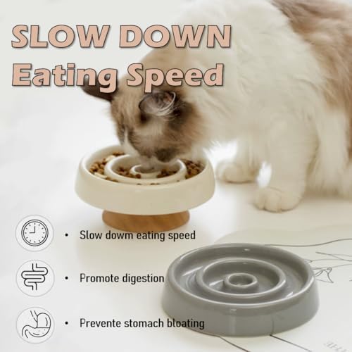 Ceramic Cat Slow Feeder, Raised Slow Feeder Cat Bowl, Anti Vomiting and Whisker Friendly Kitty Dish, Elevated Puppy Kitten Food Bowl for Dry and Wet Food (White) - Image 3