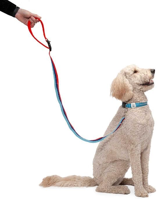 Furhaven Bungee Dog Leash w/ Quick Release Easy Tether - Classic Stripe, One Size