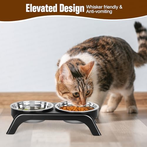 Elevated Cat Bowls - Anti-Vomiting Raised Food Bowl Set With 2 Stainless Steel Bowls, Prevents Neck Pain, ABS Anti-Slip Stand for Indoor Cats & Puppies (Black) - Image 5