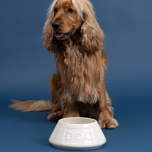 Mason Cash: Non-Tip Dog Bowl - Cream - 8.3", 54oz - Durable Ceramic Food & Water Angled Dish, Microwave-Dishwasher Safe, Pet Meal Feeding & Hydration - Image 6