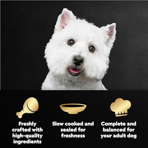 Cesar Mini-Pouch Wet Dog Food, Filet and Chicken, 1.76 oz, 20 Count, 2-Pack - Image 2