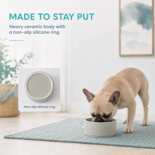 Havniva Ceramic Dog Bowls, 6.1” Dog Food and Water Bowl, Pet Feeding Bowl - Image 4