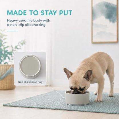 Havniva Ceramic Dog Bowls, 6.1” Dog Food and Water Bowl, Pet Feeding Bowl - Image 4
