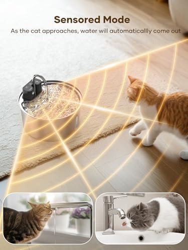 Tomxcute Wireless Cat Fountain 10 Filters -108oz Cordless Battery Operated - Image 2
