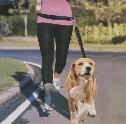 Hands Free Shock Absorbing Leash