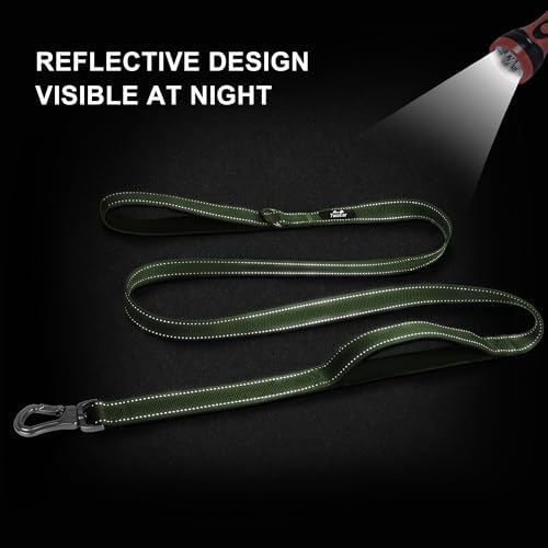 Twoear 6FT 1IN Heavy Duty Dog Leash for Large Dogs with 2 Padded Handles - Image 5