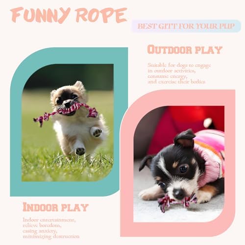 3 Pack Dog Rope Toys Puppy Teething Sturdy Cotton Chew Toy for Small Breed - Image 6