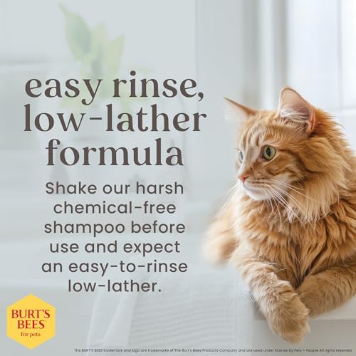 Burts Bees for Pets Tearless Kitten Shampoo with Buttermilk, 10 Fl Oz, 6-Pk - Image 4