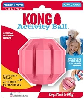 KONG Puppy Activity Ball, Natural Rubber Teething Toy, Medium Puppies, Pink by KONG
