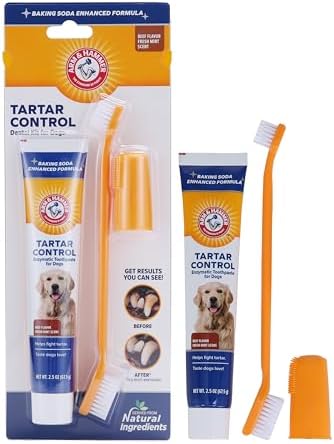 Arm & Hammer Tartar Control Dog Dental Kit, Beef Flavor, 3-Piece by ArmHammer