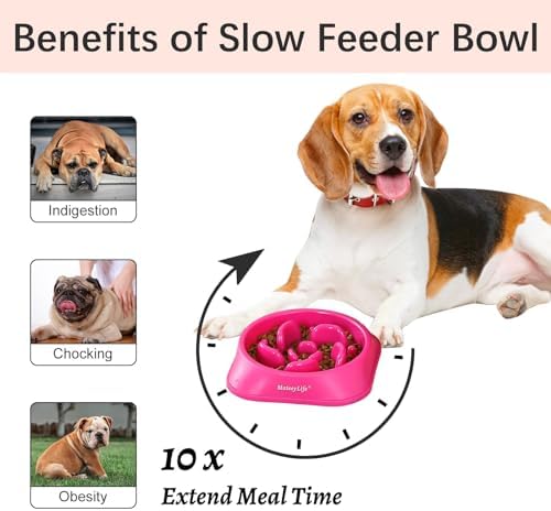 MateeyLife 2-Pack Slow Feeder Dog Bowls, 2 Cups, Dog Puzzle Feeder Bowl - Image 2