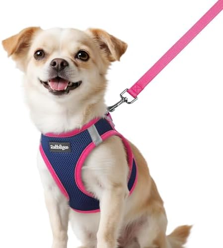 rabbitgoo Dog Harness Small Sized and Leash Set, Step in Soft Vest by rabbitgoo