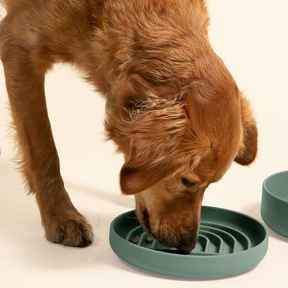 Slow Feeder Dog Bowl - Silicone Dog Bowl, Large, 9.5" x 1.5" - Spruce - Image 2