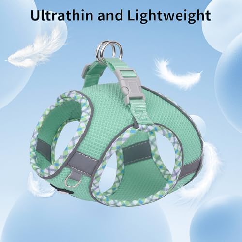 AIITLE Medium Dog Harness and Leash Set with Breathable Mesh, Sage M - Image 6
