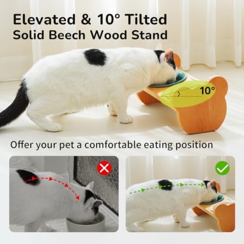 Elevated Double Ceramic Cat Bowls with Solid Beech Wood Stand, 10° Tilted - Image 4