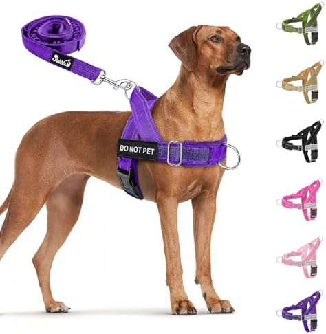 SlowTon No Pull Dog Harness and Leash Set - Heavy Duty, Soft Padded by SlowTon