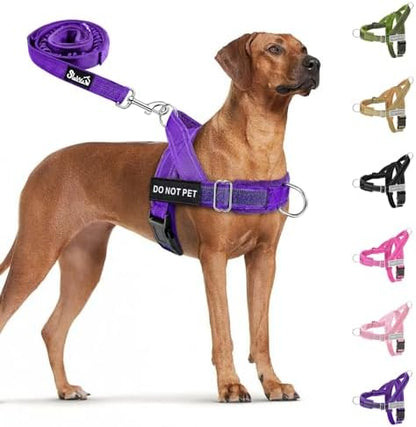 SlowTon No Pull Dog Harness and Leash Set - Heavy Duty, Soft Padded by SlowTon