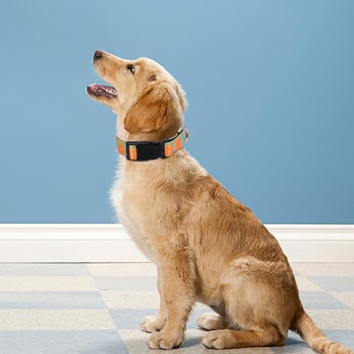 Reflective Dog Collar, Adjustable Neoprene Padded,Summer Lemon,L - Image 2
