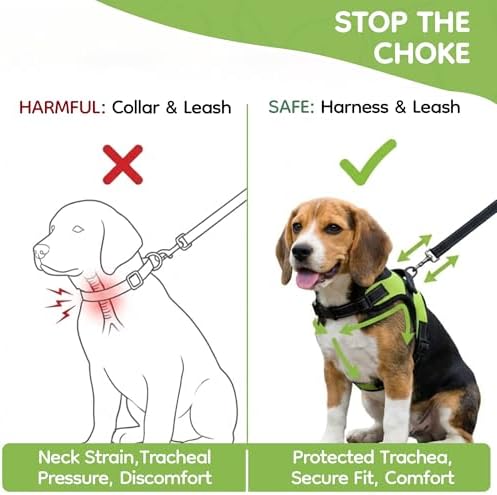No Pull Reflective Adjustable Dog Harness with Handle- Comfortable Soft All Weather Mesh, Easy On Puppy Harness for Small Medium and Large Dogs (Green) Large - Image 5