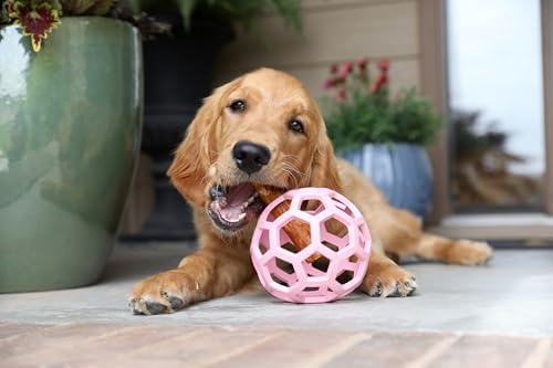JW Pet HOL-ee Roller Dog Puzzle Ball, Large 5.5in, Natural Rubber, Pink - Image 4