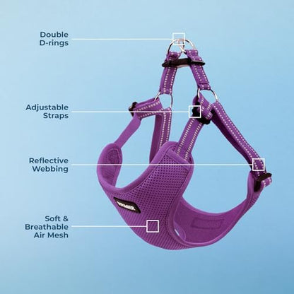 Voyager Step-in Flex Adjustable Dog Harness - Purple, Medium - Image 3