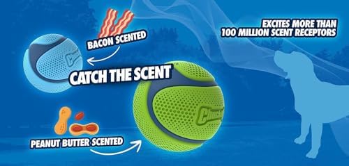 Chuckit! Sniff Ball Dog Toy, Bacon Scented, Medium, 1 Pack - Image 5