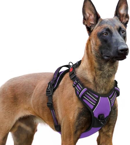 rabbitgoo Dog Harness for Large, Updated Easy On & Off with 3 Buckles by rabbitgoo