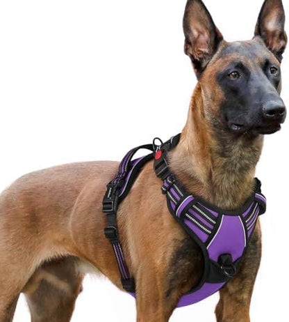 rabbitgoo Dog Harness for Large, Updated Easy On & Off with 3 Buckles by rabbitgoo