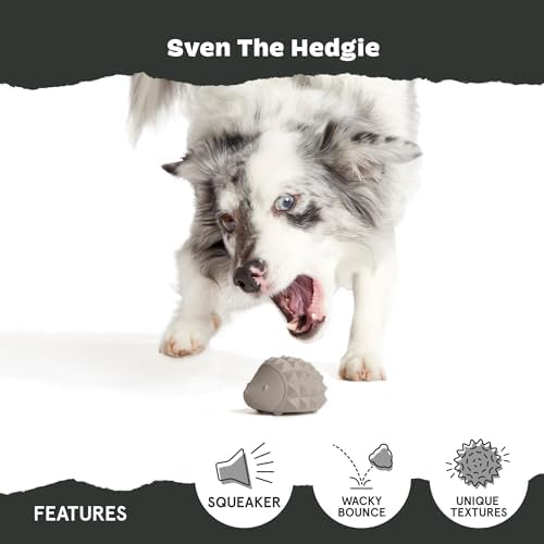 BarkBox Sven The Hedgie Super Chewer Dog Toy - Large - Image 3