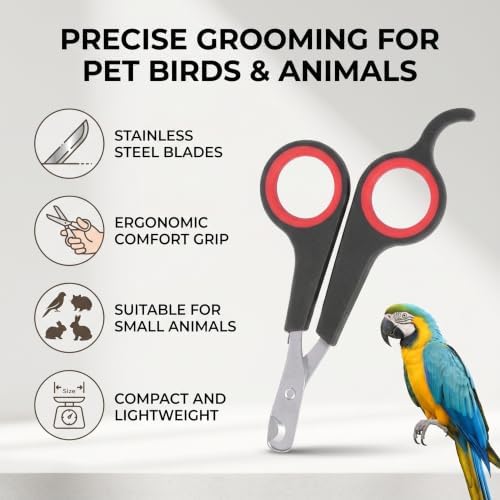 Bird Nail Clipper Grooming Tool Nail Scissors Clipper Pet Bird Parrot Small Animals Accessory for Small Parrot Birds - Image 2