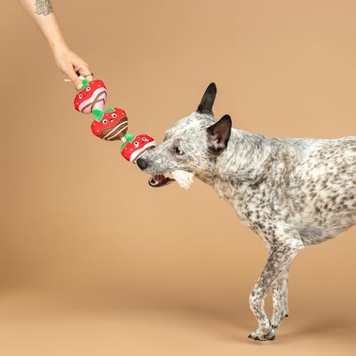 Fringe Studio Plush Dog Toy with Rope, Covered with Love, Petshop Collection (314495) - Image 4