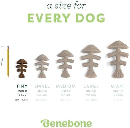 Benebone Tiny 2-Pack Fishbone Durable Dog Chew Toys, Real Fish - Image 4