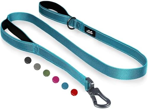 Twoear 4FT 1IN Heavy Duty Dog Leash for Large Dogs with 2 Padded Handles by TwoEar