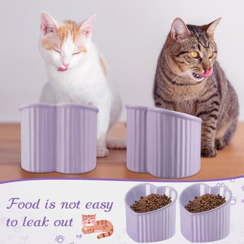 Mumufy 2 Pcs Ceramic Elevated Cat Bowls Tilted Elevated Raised Pet Bowls Anti Vomit Cat Dish for Indoor Stress Free Water Dish Feeder for Puppies, Heart Shaped (Purple) - Image 6