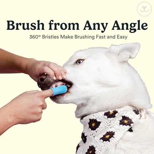 Jasper Dog Toothbrush, 360° Finger Toothbrush for Dogs & Cats, Neon 4-Pack - Image 4