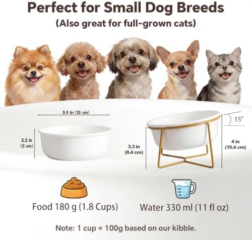 White Small Ceramic Tilted Elevated Cat Dog Bowl Raised Cat Food Water Bowl Dish Pet Comfort Feeding Bowls with Gold Iron Stand - Image 2