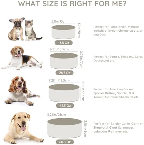 SPUNKYJUNKY 13.5OZ Ceramic Dog and Cat Bowl, Modern Cute Weighted Food Water Bowl for Replacement Grey (2 Pack) - Image 6