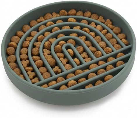 Slow Feeder Dog Bowl - Silicone Dog Bowl, Small, 6" x 1.25" - Spruce by ShouldWeGo