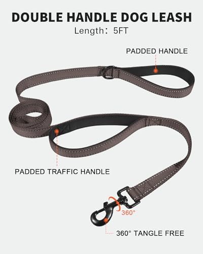 FunTags Martingale Dog Collar and Leash Set for Puppy Dogs, Locking Buckle - Image 4