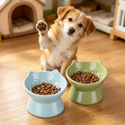 2 Pcs Elevated Slow Feeder Cat Bowls, 5.91 x 5.24 Inch Ceramic Cat Slow Feeder Bowl, 3.54 Inch Raised Base, 3.38 Fl Oz, Green and Blue Ear Shaped Dishes - Image 6
